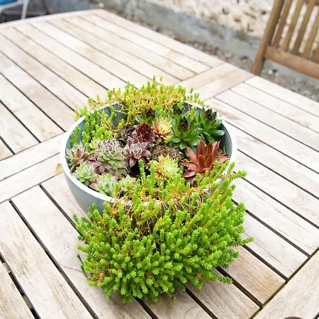 Comfy Holiday In With Garden Nyaraló *