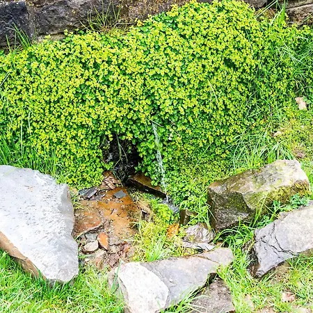 Comfy Holiday In With Garden Nyaraló